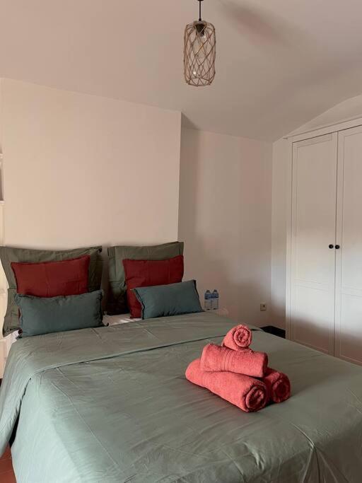 Appartement A Pied Du Centre Avec Place De Parking 阿爾勒 外观 照片